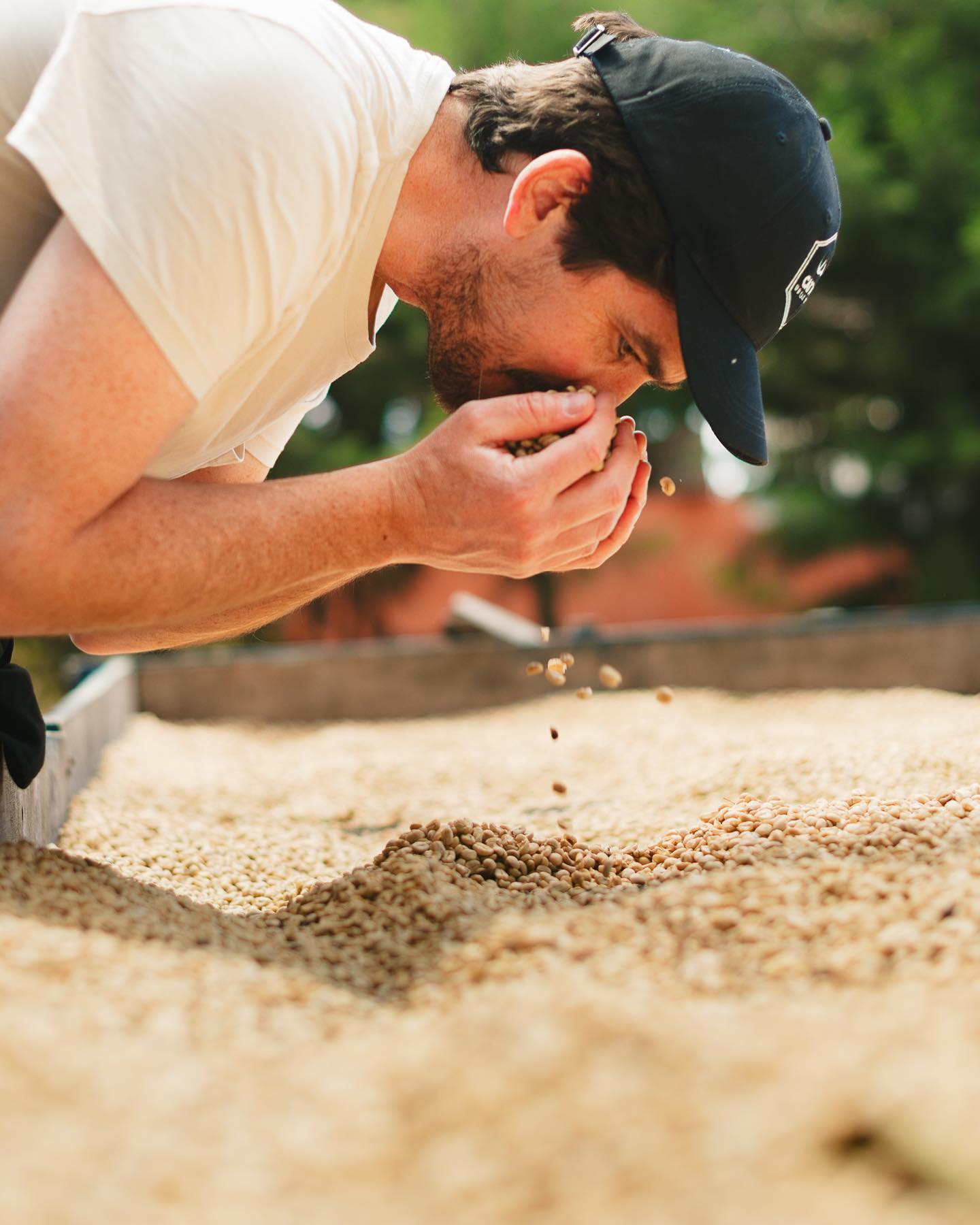 Southdown Coffee Specialty Coffee Wholesale